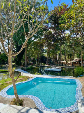 Shaya Resort